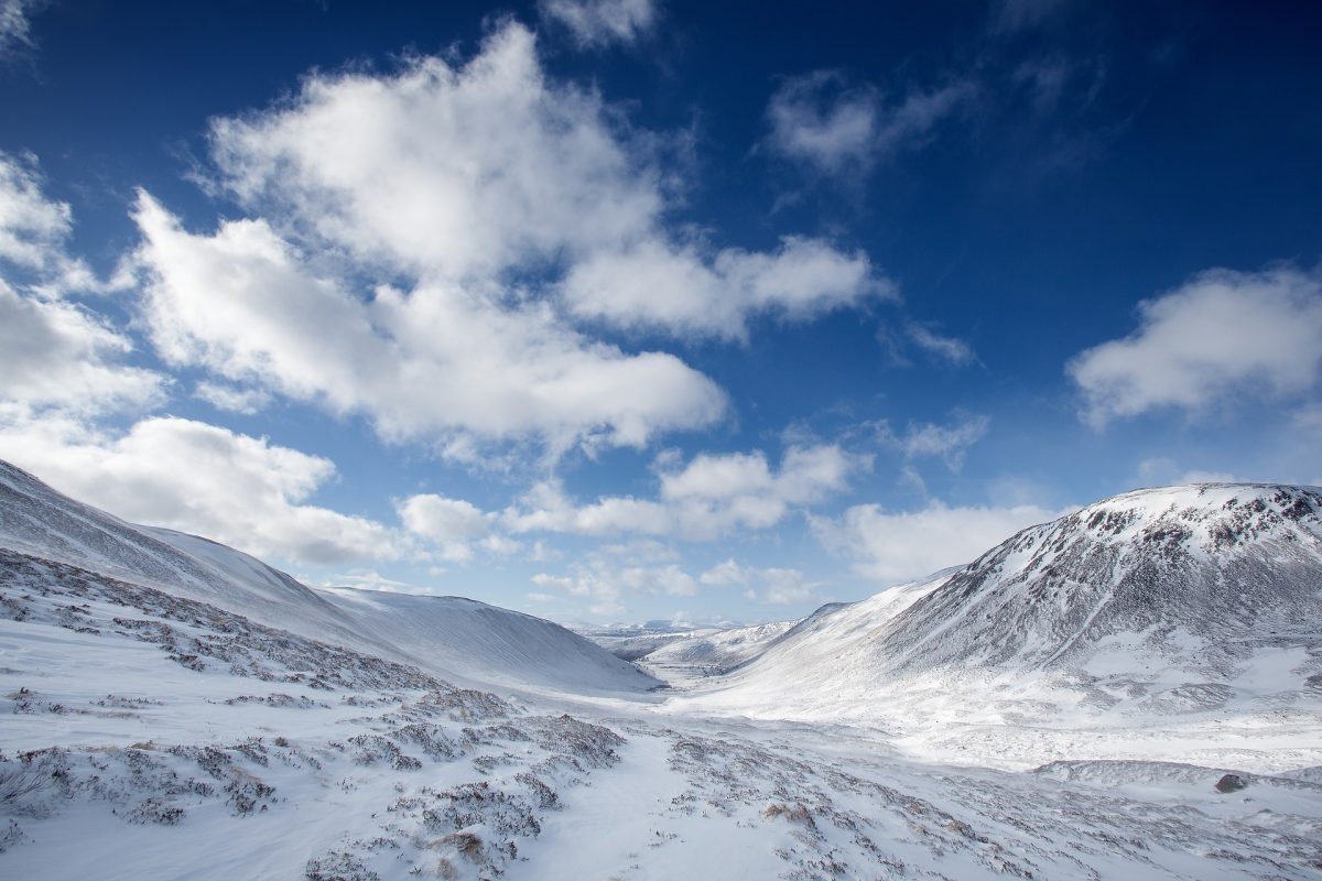 cairngorms national park tours